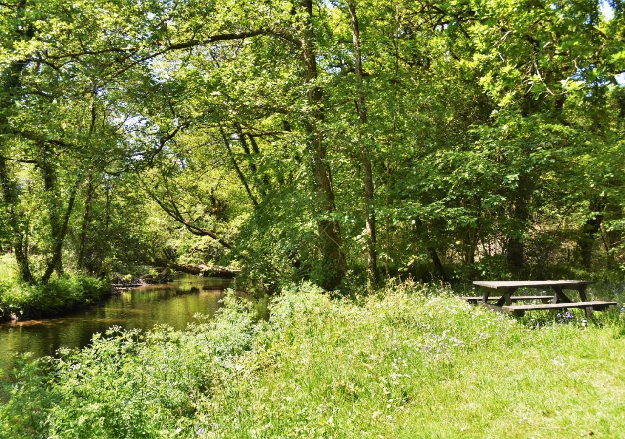River Lodge - Cornwall Cardinham Exteriör bild